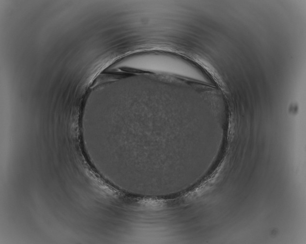 X0000090610977200707311219