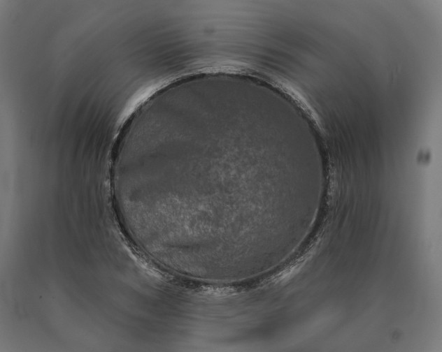 X0000090610978200707311219