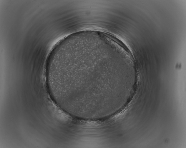 X0000090610979200707311219