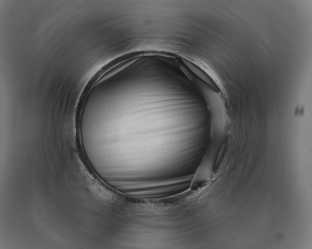 X0000090610980200707311219