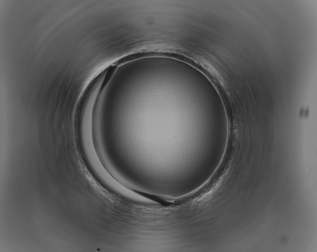 X0000090610981200707311219