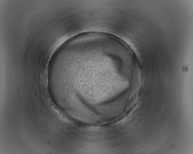 X0000090610982200707311219