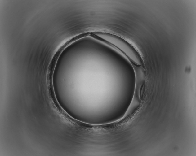 X0000090610983200707311219