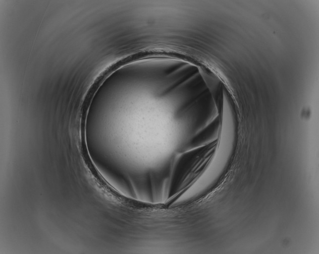 X0000090610984200707311219