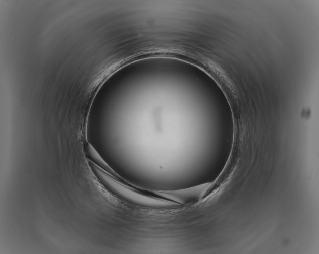 X0000090610985200707311219