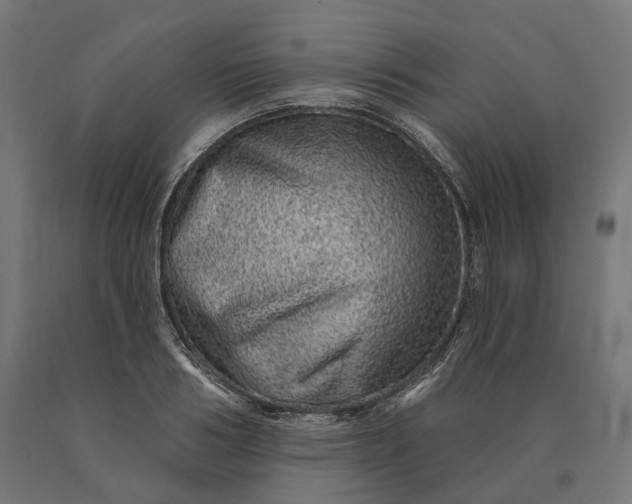 X0000090610986200707311219