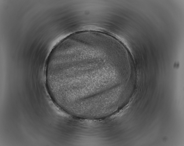 X0000090610987200707311219