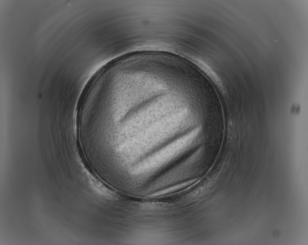 X0000090610988200707311219