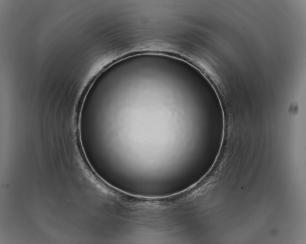 X0000090610990200707311218