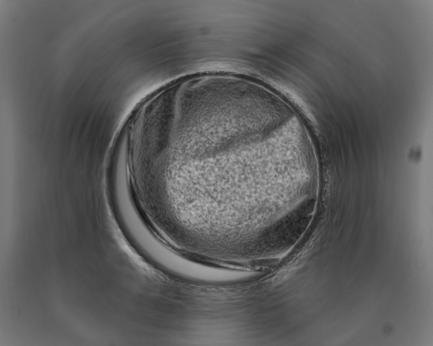 X0000090610991200707311218