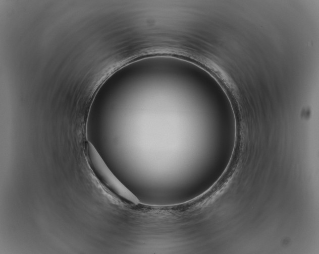 X0000090610993200707311218