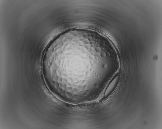 X0000090610994200707311218