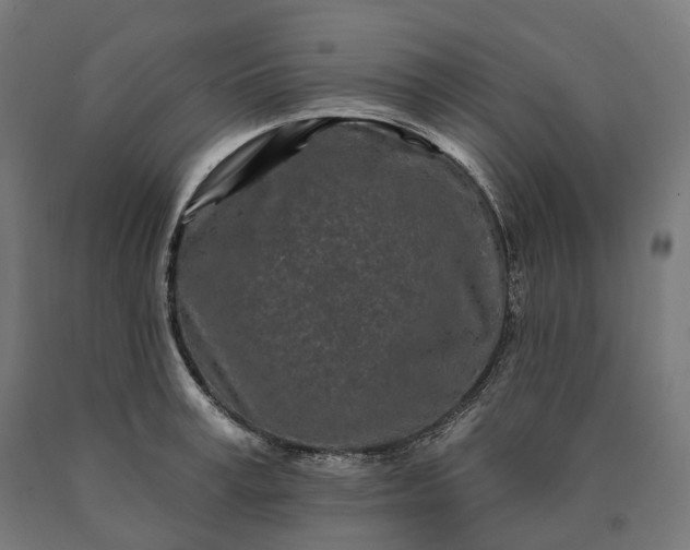 X0000090610995200707311218