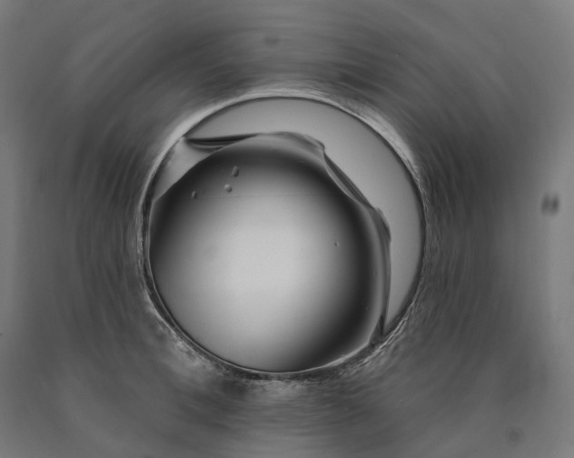 X0000090610996200707311218