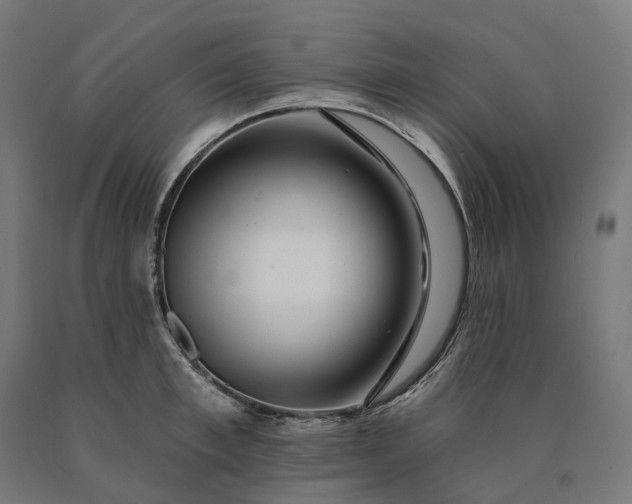 X0000090610997200707311218