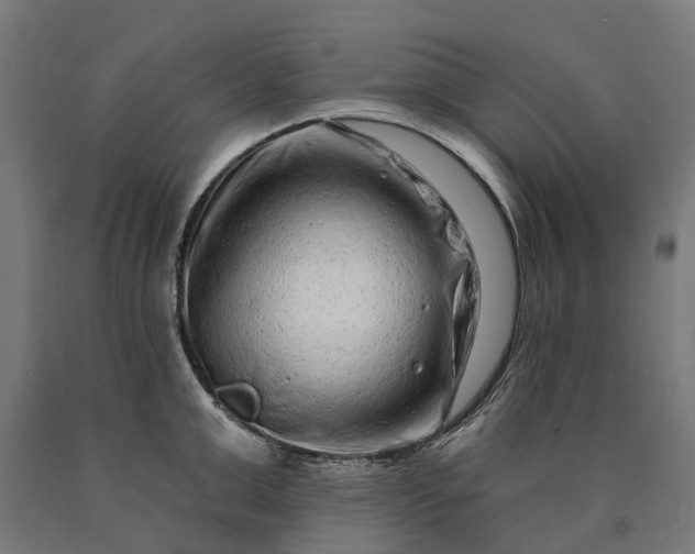 X0000090610999200707311218