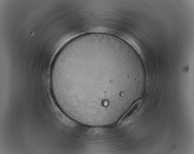 X0000090611000200707311218