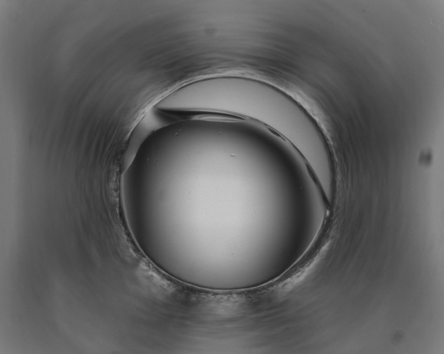 X0000090611001200707311218