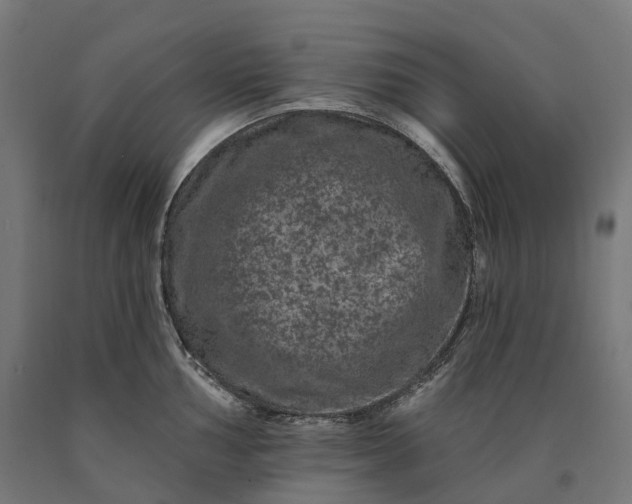 X0000090611002200707311218