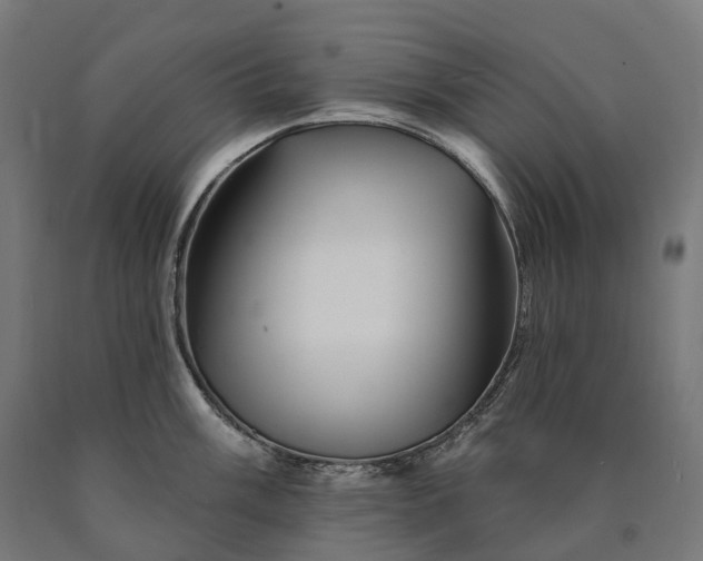 X0000090611003200707311218