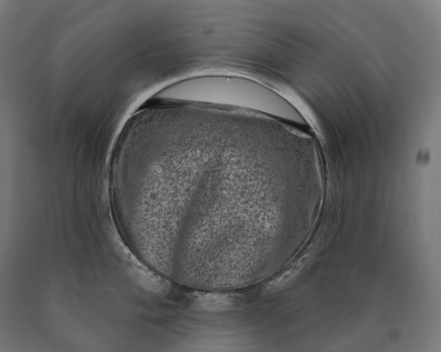 X0000090611004200707311218