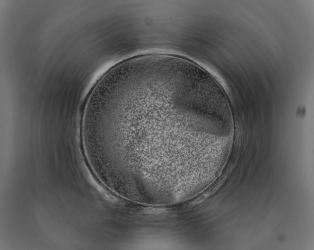 X0000090611006200707311218