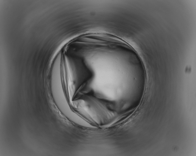 X0000090611008200707311218