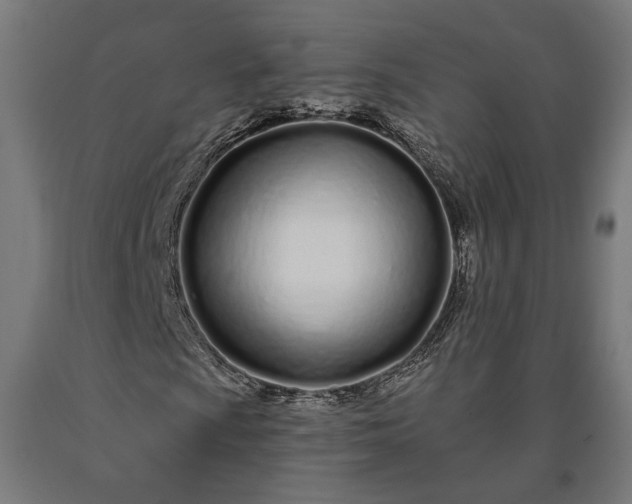 X0000090611009200707311218