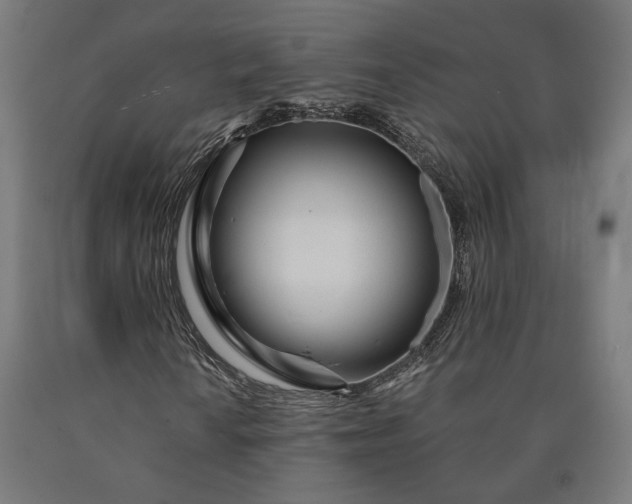 X0000090611010200707311218