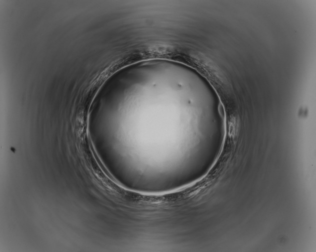 X0000090611011200707311218