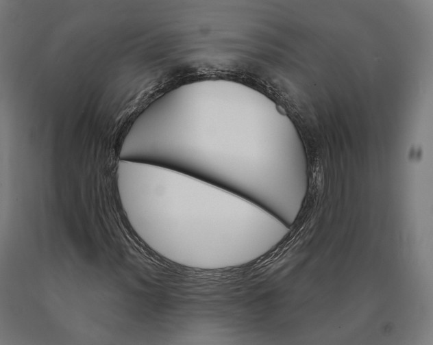 X0000090611012200707311218