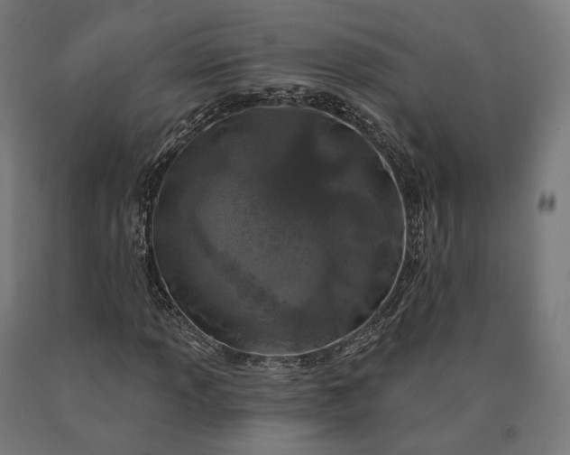 X0000090611013200707311218