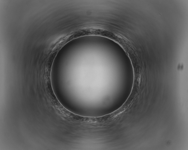 X0000090611014200707311218