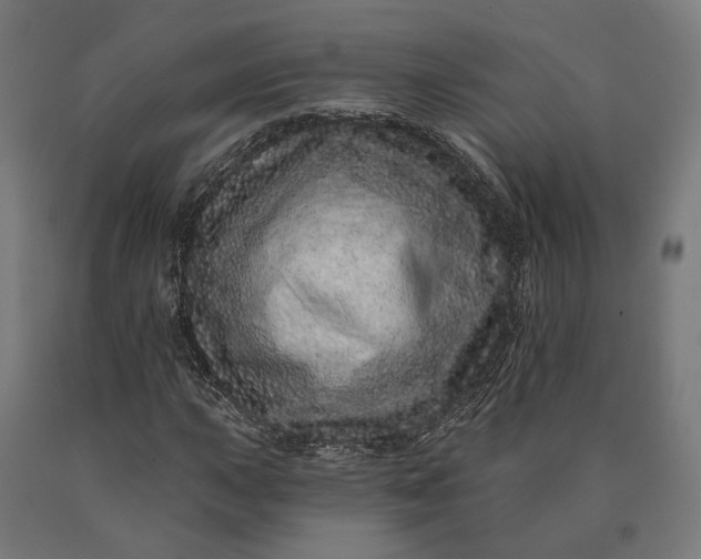 X0000090611015200707311218