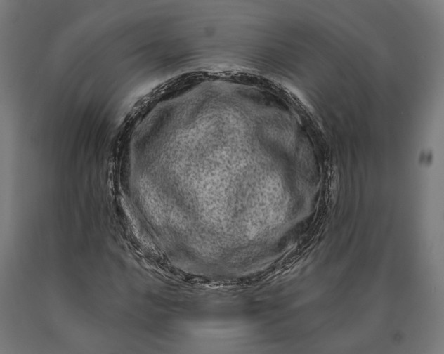 X0000090611016200707311218