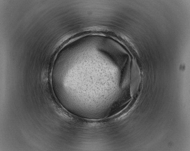 X0000090611017200707311218