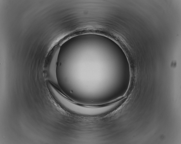 X0000090611018200707311218