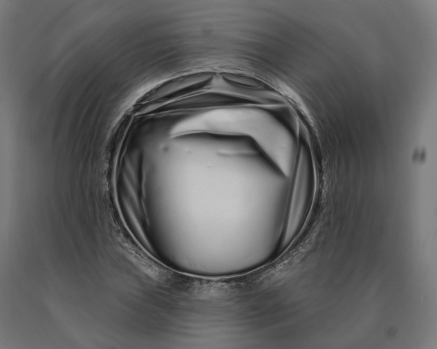 X0000090611019200707311218