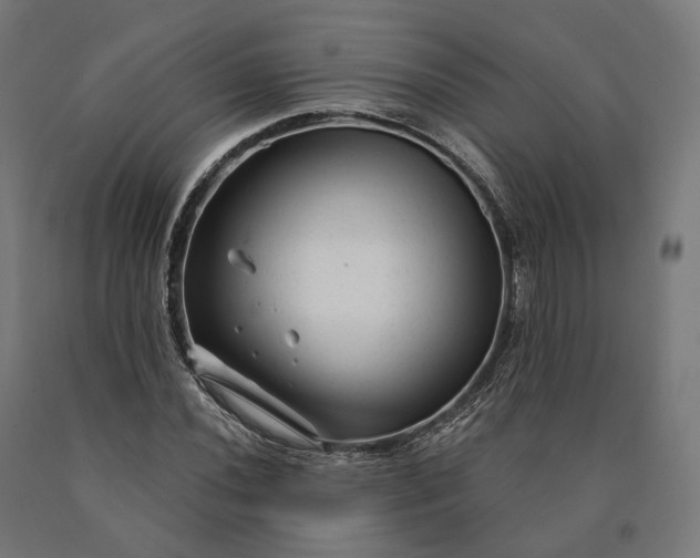 X0000090611020200707311218