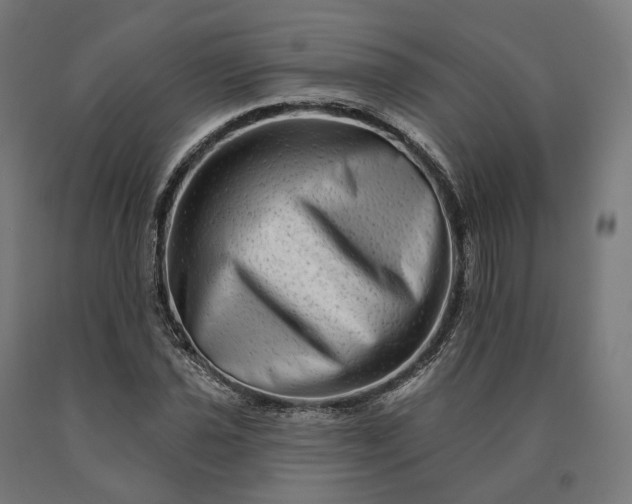 X0000090611021200707311218