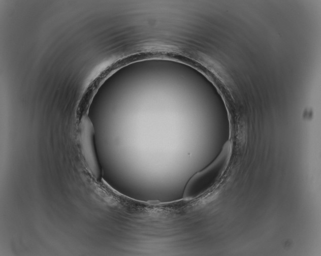 X0000090611022200707311218