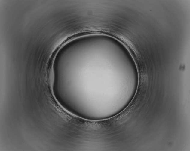 X0000090611023200707311218