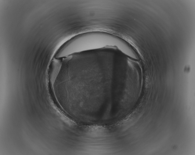 X0000090611024200707311218