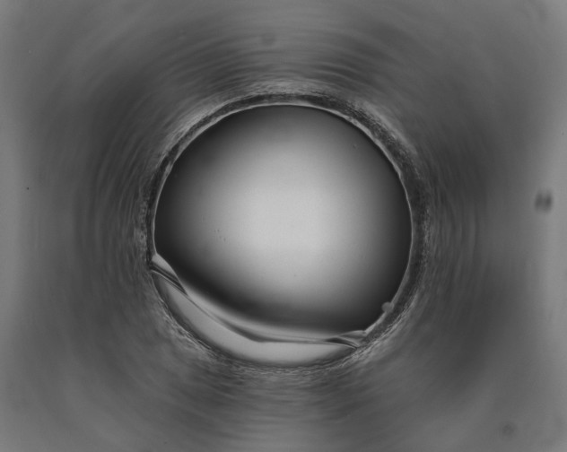 X0000090611025200707311218