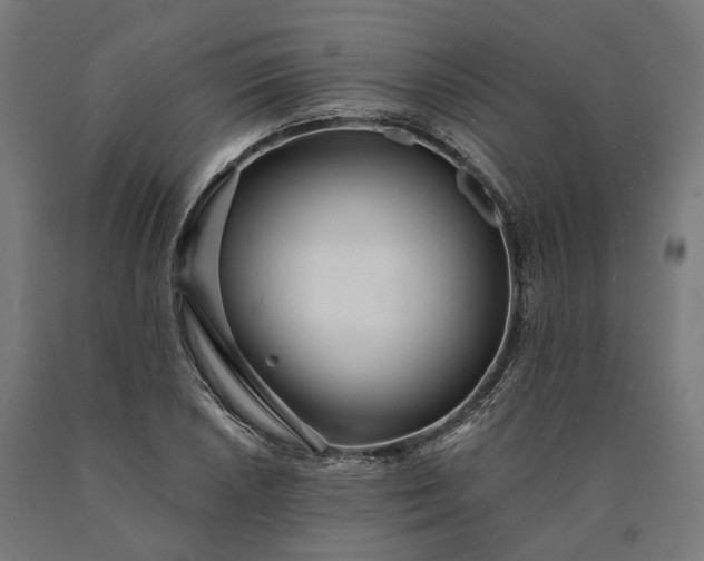 X0000090611026200707311218