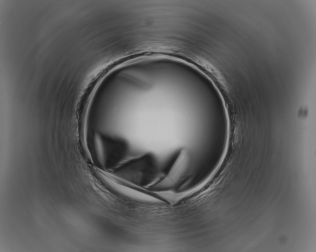 X0000090611027200707311218