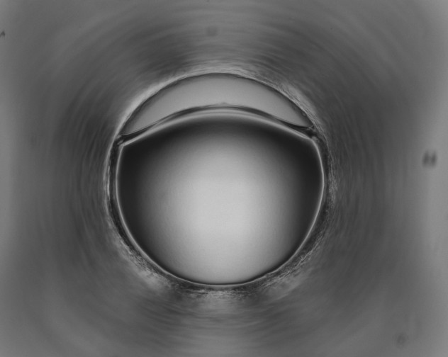 X0000090611028200707311218