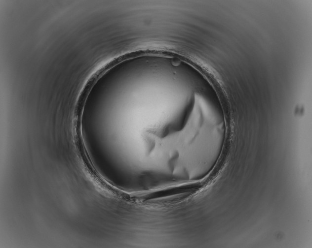 X0000090611029200707311218