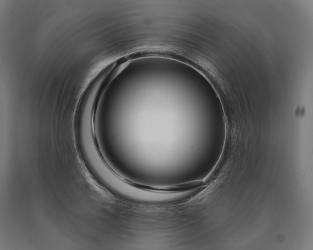 X0000090611030200707311218