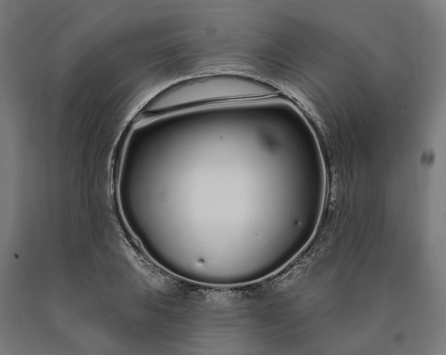 X0000090611031200707311218